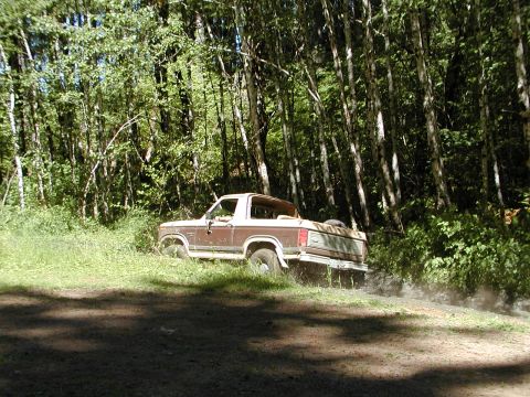1984 Ford Bronco photo