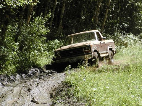 1984 Ford Bronco photo