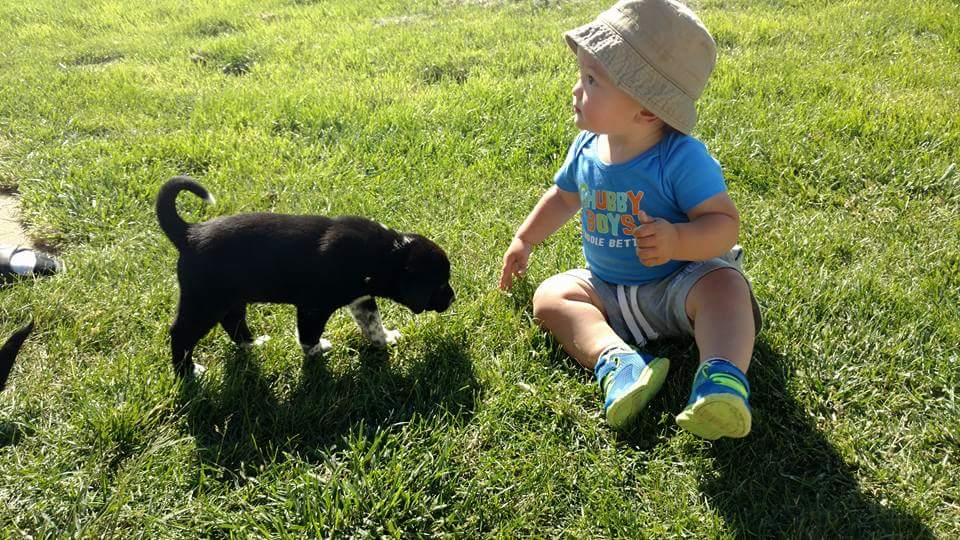 Baby in a hat and blue shirt sits on grass, looking at a black puppy. Text on shirt says "HUBBY BOYS"
