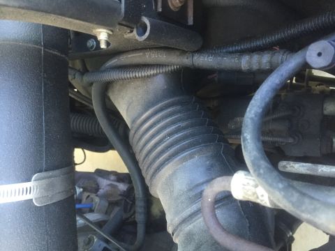 1995 Ford Bronco - Close-up view of the engine bay of a 1995 Ford Bronco, showing various hoses and electrical components.