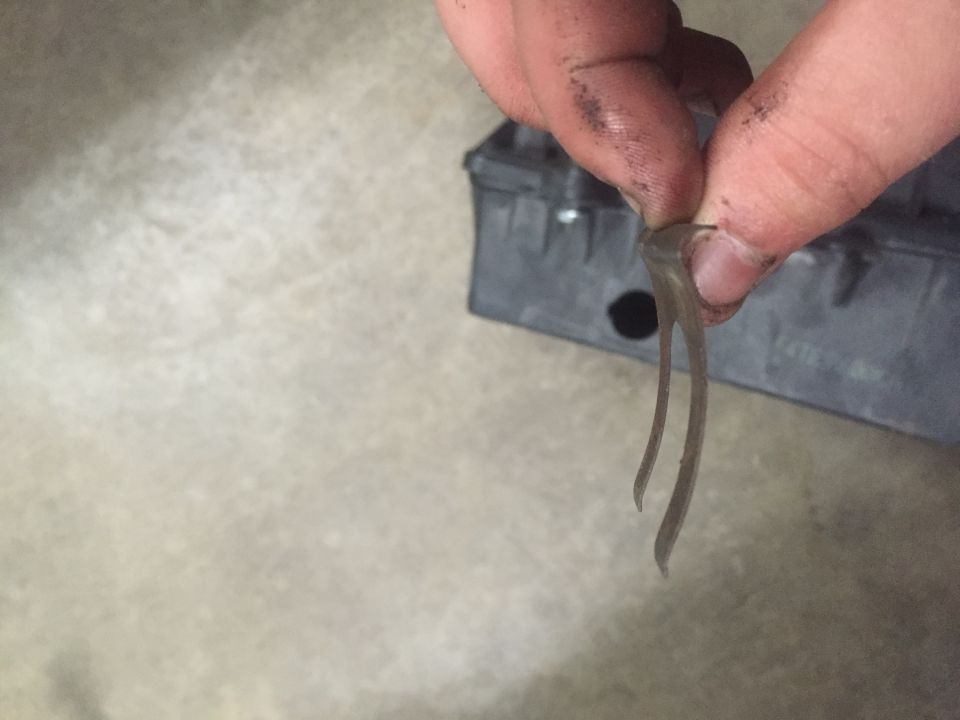 hand holding a clear plastic clip near a gray plastic component