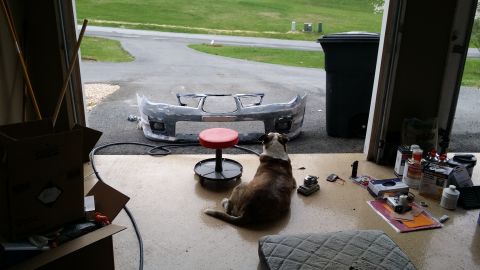 2007 Subaru Impreza - A dog observes a car bumper being prepped for paint in a garage setting.