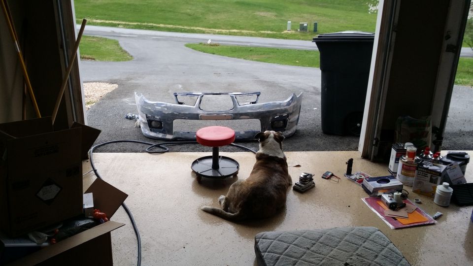 Dog sits in front of a grey, unfinished car bumper in a garage