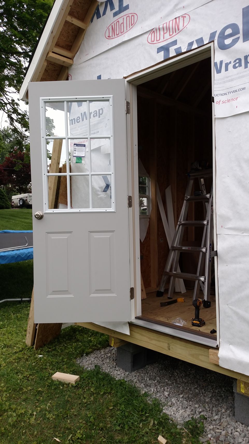 Shed under construction with open front door and windowed side door. Ladder and tools inside