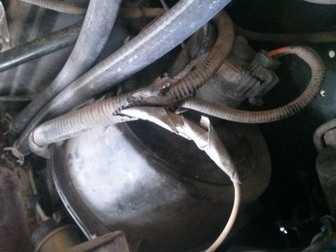 1996 Ford Bronco - This image shows a section of the engine bay with several hoses and a damaged wiring loom.