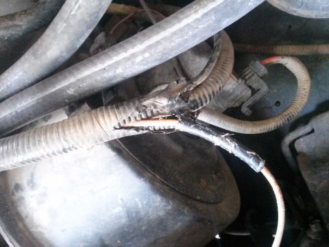 1996 Ford Bronco - Close-up view of damaged wiring and hoses, indicating a potential mechanical issue.