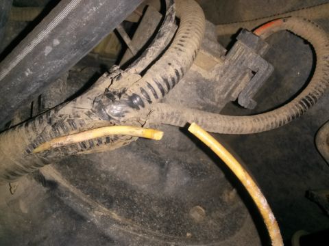 1996 Ford Bronco - A broken yellow wire is visible within a damaged black electrical conduit, likely requiring repair.