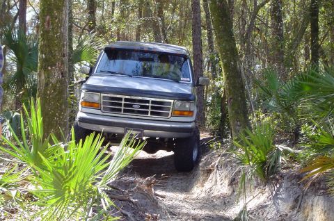 1993 Ford Bronco - A Ford Bronco navigates a wooded trail with dense foliage.