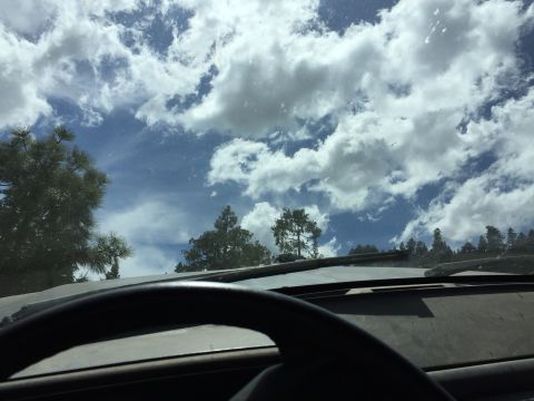 1989 Ford Bronco