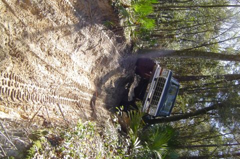 1993 Ford Bronco - This vehicle is stuck on a muddy trail, with trees and foliage surrounding it.