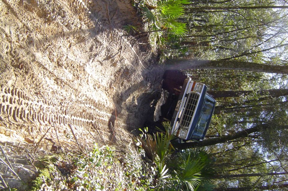 Blue Ford Bronco stuck nose-down in a mud hole on a sandy pine trail with a red tow strap