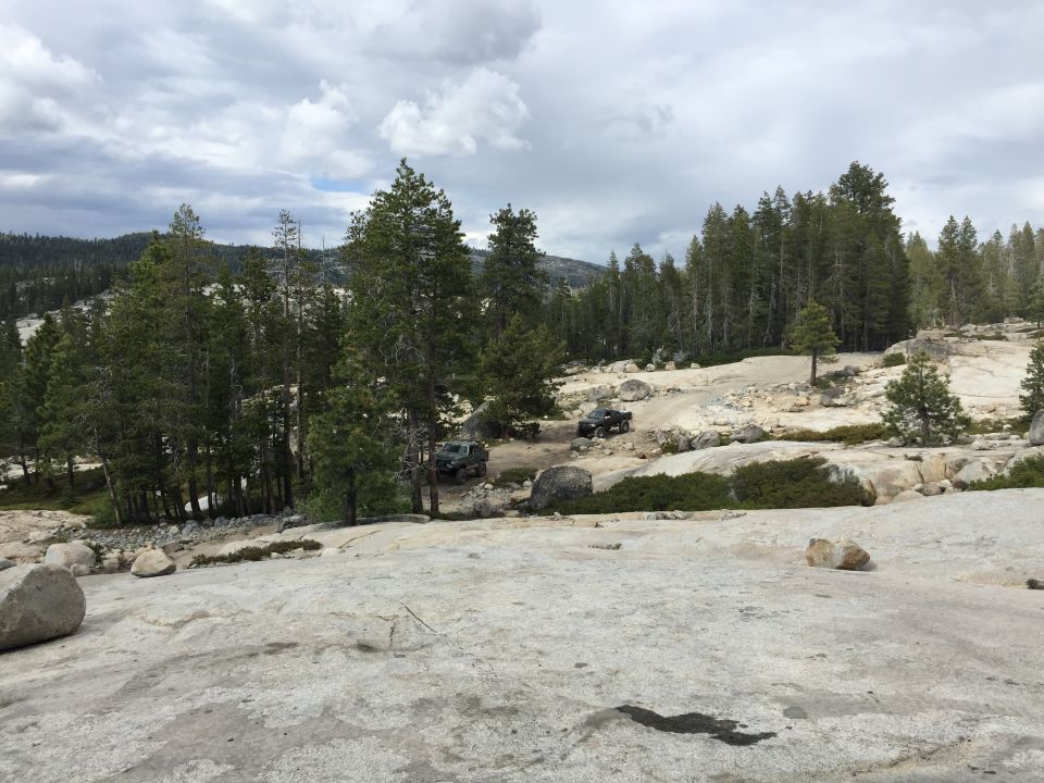 Off-road vehicles among pines on a broad granite expanse