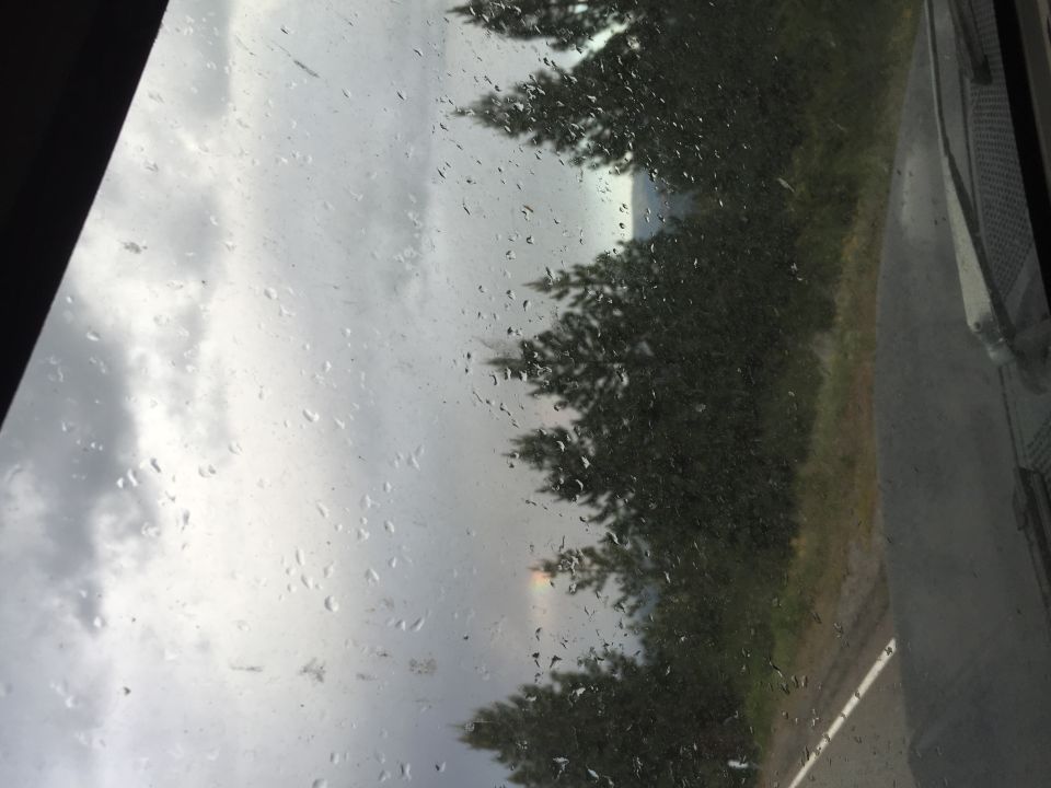 View through a rain-spotted windshield of trees and a road under gray sky
