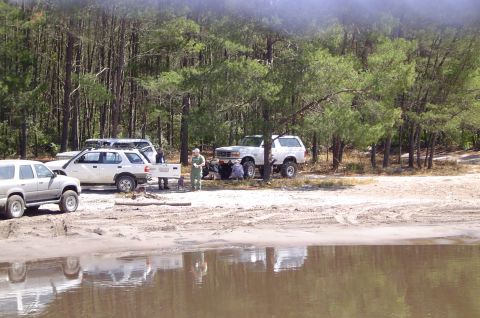1993 Ford Bronco - Several off-road vehicles are parked near a wooded area by a body of water.