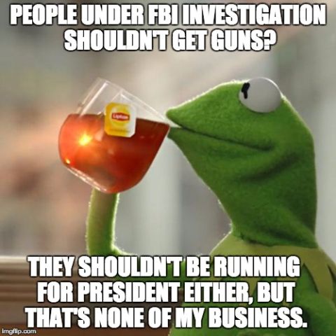 1995 Mercury Grand Marquis - A meme featuring Kermit the Frog drinking tea with text overlay that reads "PEOPLE UNDER FBI INVESTIGATION SHOULDN'T GET GUNS? THEY SHOULDN…