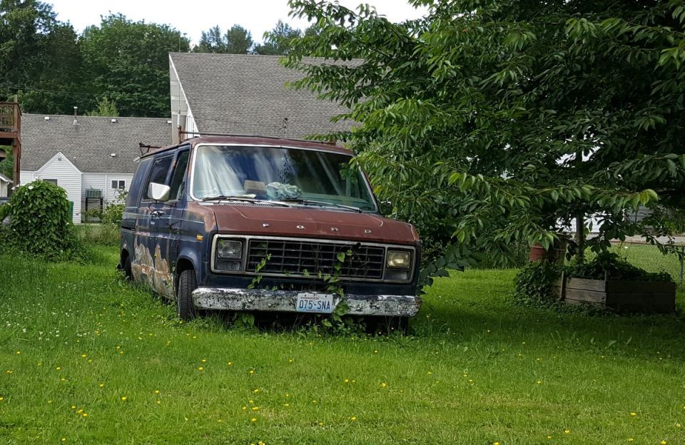 Rusted blue and red Ford van in a grassy yard, partially covered by a tree.