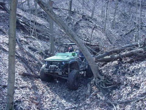 1992 Ford Bronco - An off-road vehicle navigates a steep, wooded incline covered in fallen leaves and branches.
