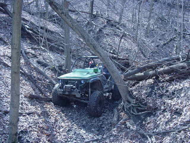 Green off-road vehicle on wooded trail