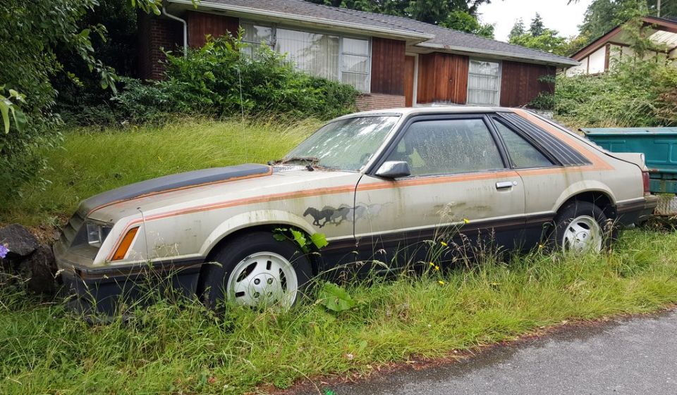 Tan 1979 Ford Mustang coupe with orange stripes and horse graphic, overgrown with grass