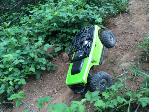 1989 Ford Bronco - This remote-controlled rock crawler is navigating a challenging off-road terrain surrounded by lush greenery.