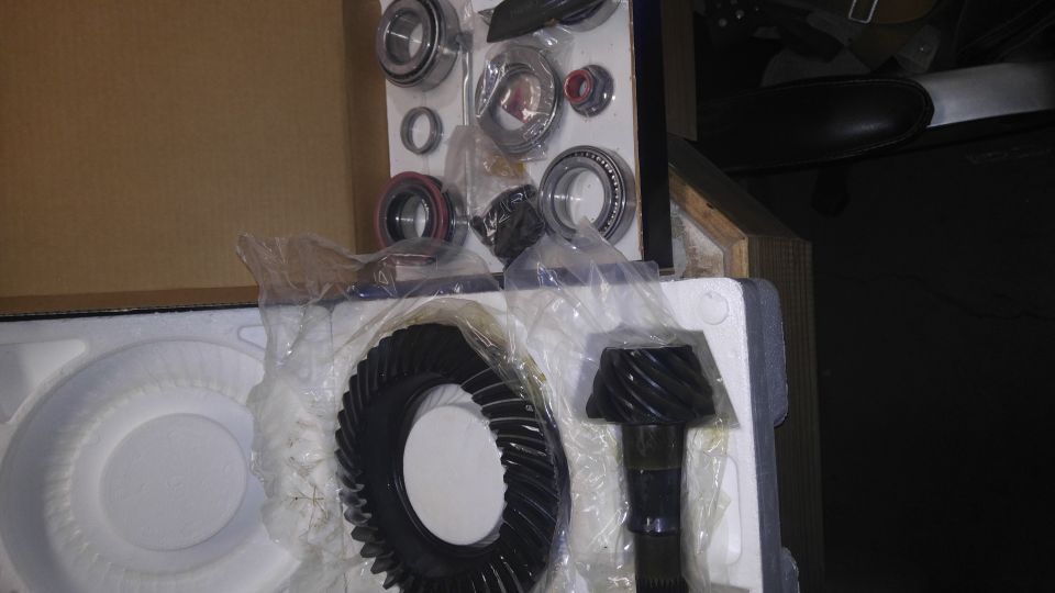 Differential ring gear and pinion gear with bearings in packaging