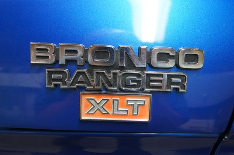 1979 Ford Bronco - Lynda sprayed the emblems entirely black, then Nicole steel wooled the top surface to bring the chrome back. Almost look new.