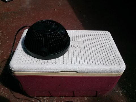 1996 Ford Bronco - Portable fan placed on a cooler outdoors.