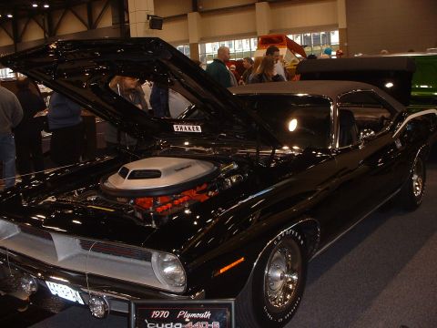 1999 Ford Crown Victoria - '70 Cuda