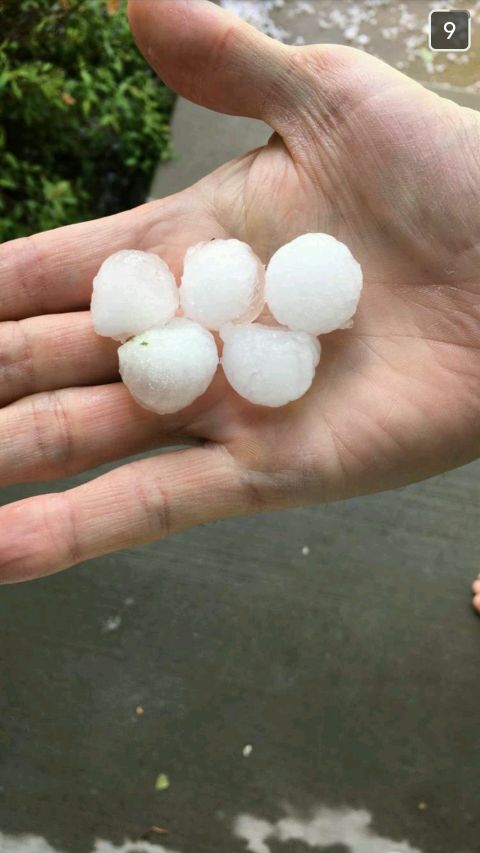 1996 Ford Bronco - A person holds a collection of large hailstones in their palm after a storm.