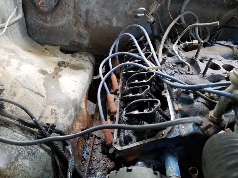 1979 Ford Bronco - Close-up view of an engine bay, showing spark plug wires and valve covers.