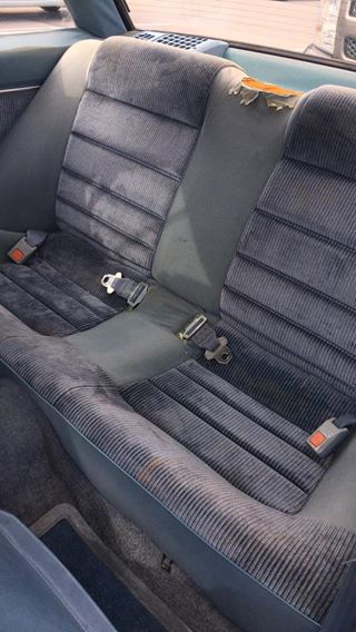 1982 Nissan 200SX photo