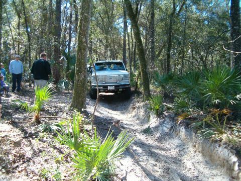1991 Ford Bronco - A white Ford F-Series truck navigates a sandy trail surrounded by trees and palm fronds.