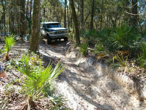 1991 Ford Bronco - A two-tone Ford Bronco navigates a sandy, rutted trail in a wooded area.