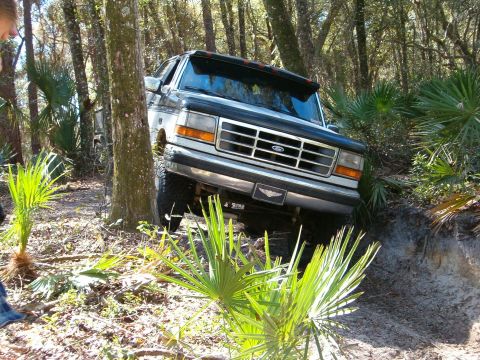 1991 Ford Bronco - Bobby (John)
