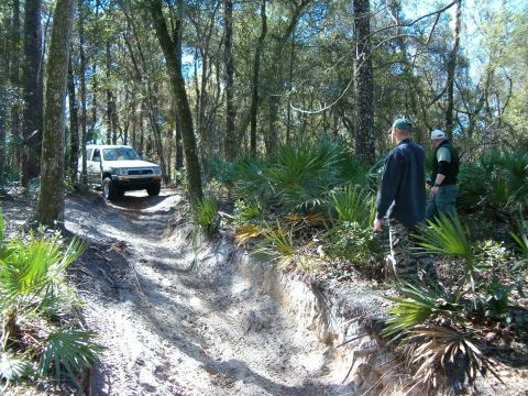 1991 Ford Bronco - A white Toyota 4Runner navigates a sandy, wooded trail with two onlookers observing.