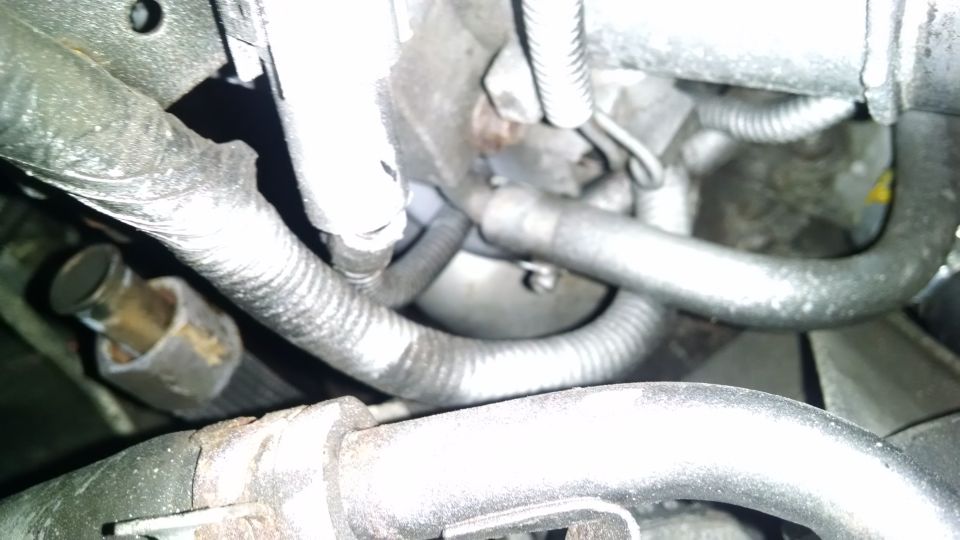 Engine bay with hoses and wiring harnesses