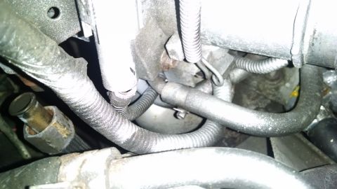 1995 Ford Bronco - A close-up view of engine components, including hoses and wiring harnesses, in a vehicle's engine bay.