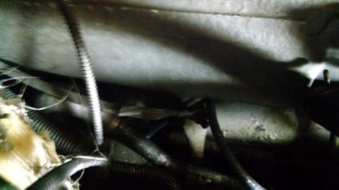 1995 Ford Bronco - A close-up view of the underside of a vehicle, showing various hoses, wiring harnesses, and metal components. The scene appears to be an en…