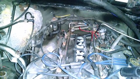 1995 Ford Bronco - A close-up view of the engine bay of a 1995 Ford Bronco, showing various hoses, wires, and engine components. The engine appears to be a V8…