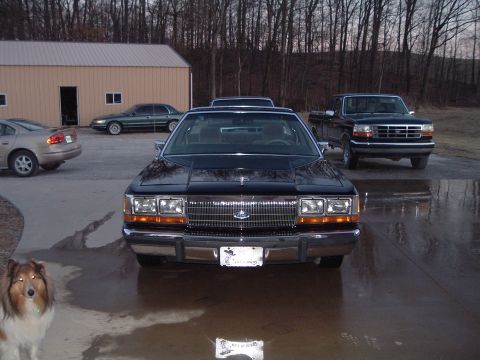 1989 Ford Crown Victoria LTD - 7