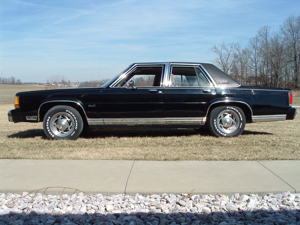 Driver-side profile of black Ford sedan with 5.0 badge parked by curb