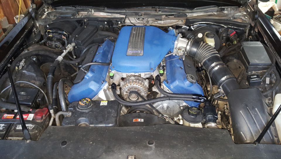 Engine bay with blue intake manifold covers and black hoses, showing alternator and battery