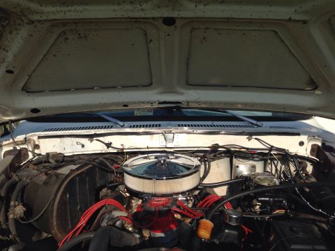 1979 Ford Bronco