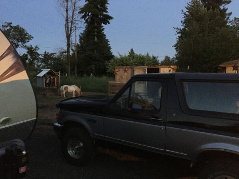 1995 Ford Bronco