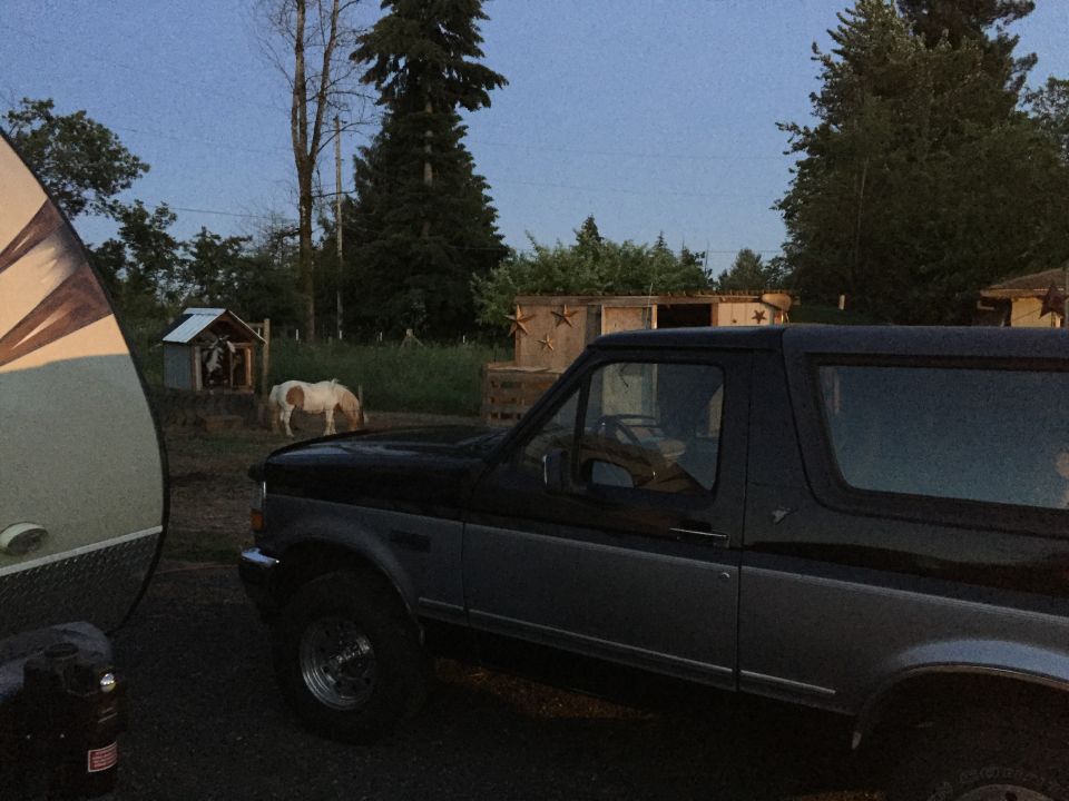 Black and gray Ford Bronco parked at dusk beside a trailer, with a pony and shed in the background