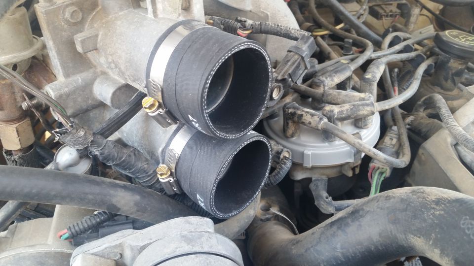 Close-up of two black silicone hoses with silver clamps on a vehicle engine.