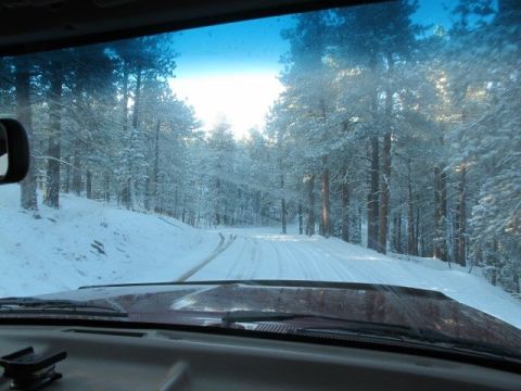 1996 Ford Bronco - View from inside a vehicle driving on a snow-covered road through a pine forest. The sun is shining brightly through the trees, illuminatin…