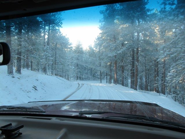 Driving through a snowy forest road