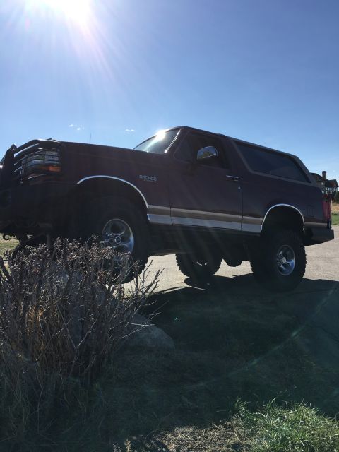 1996 Ford Bronco - A maroon Ford Bronco is parked on a paved surface with a large bush and rocks in the foreground. The sun is shining brightly in the clear b…