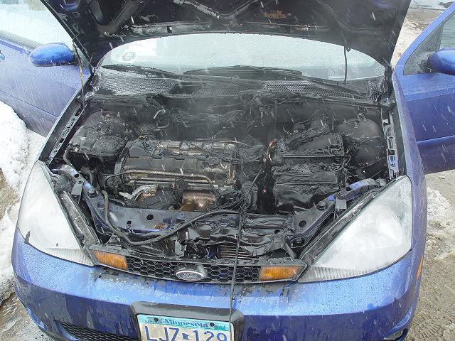 Blue Ford Focus with hood up showing fire-damaged, charred engine bay; Minnesota plate LJZ-129, snowy setting.